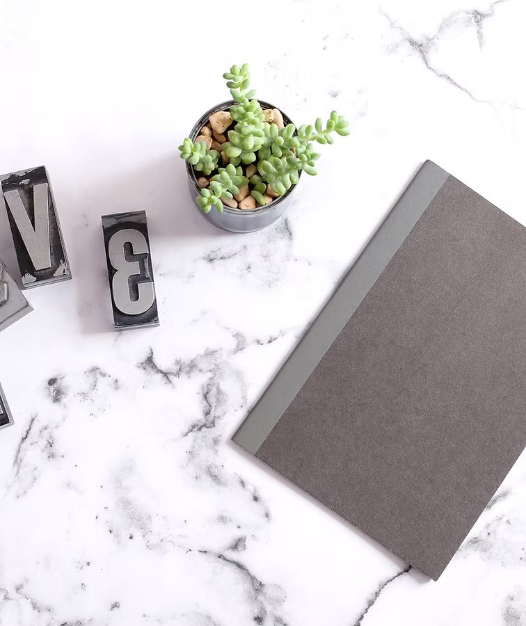 Notebook and small succulent on a marble desk